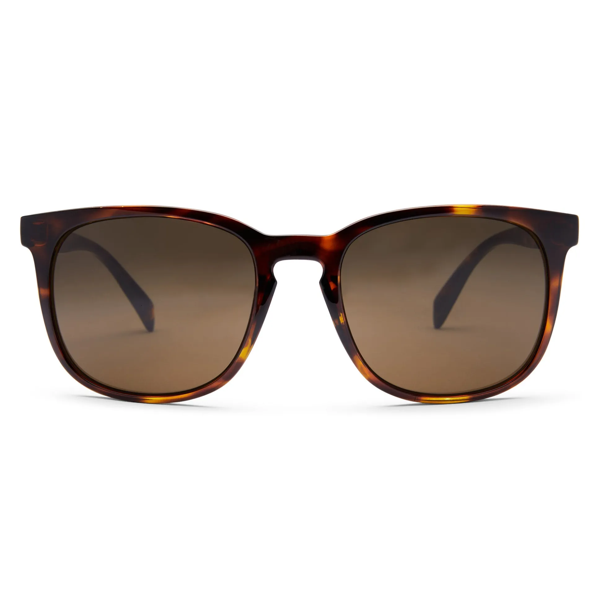 Daytripper - Polarized Poly Lens