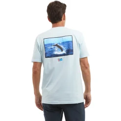 Framer